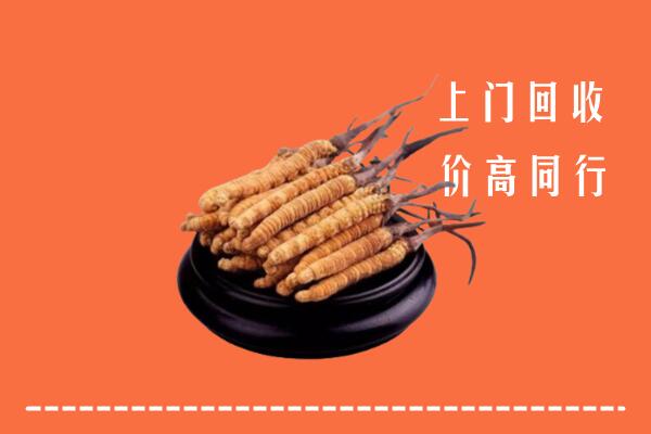 高价求购：潞城区回收散虫草